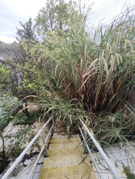 Alugar Casas / Sobrado em Suzano R$ 3.500,00 - Foto 40