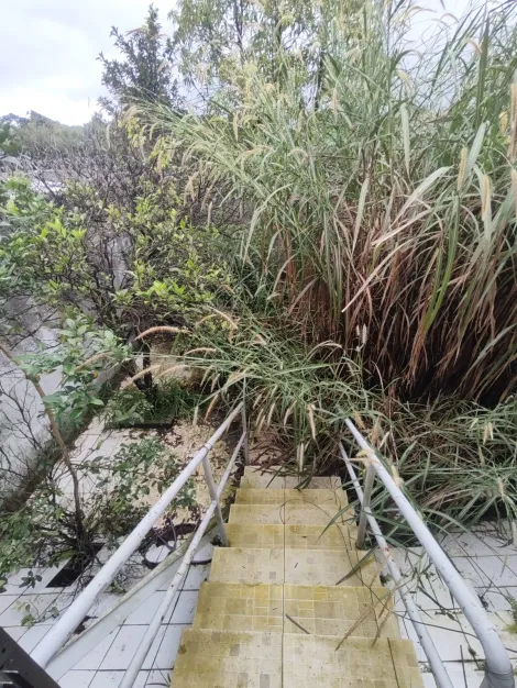 Alugar Casas / Sobrado em Suzano R$ 3.500,00 - Foto 41