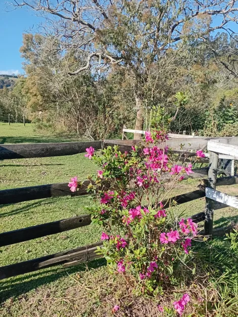 Comprar Rurais / Ch&aacute;cara em Santa Branca R$ 750.000,00 - Foto 29