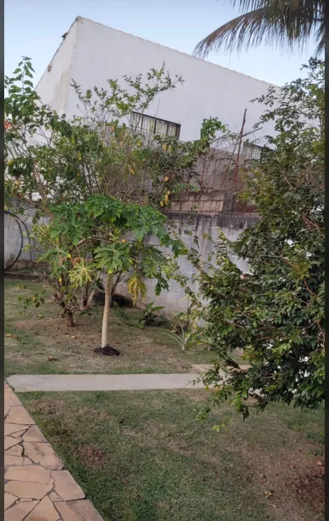 Comprar Rurais / Ch&aacute;cara em Santa Branca R$ 750.000,00 - Foto 11