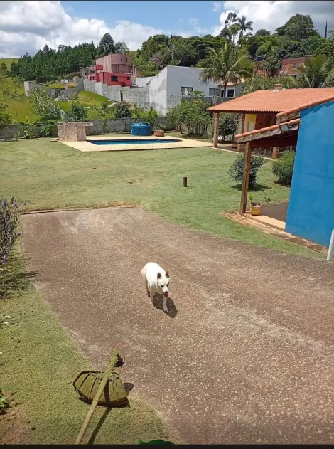 Comprar Rurais / Ch&aacute;cara em Santa Branca R$ 750.000,00 - Foto 19