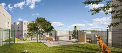 Comprar Apartamentos / Padr&atilde;o em Suzano R$ 240.000,00 - Foto 12