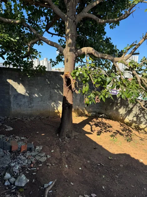 Comprar Casas / T&eacute;rrea em Mogi das Cruzes R$ 770.000,00 - Foto 34