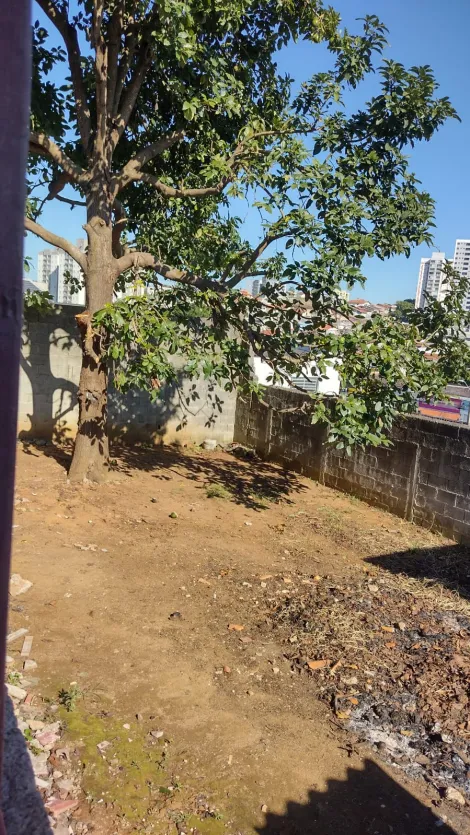 Comprar Casas / T&eacute;rrea em Mogi das Cruzes R$ 770.000,00 - Foto 33