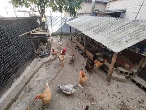 Comprar Casas / Sobrado em Suzano R$ 930.000,00 - Foto 45