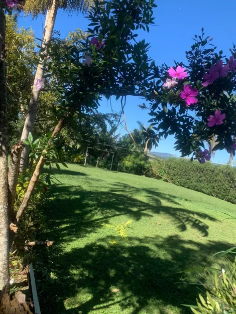Comprar Rurais / Ch&aacute;cara em Suzano R$ 1.380.000,00 - Foto 22