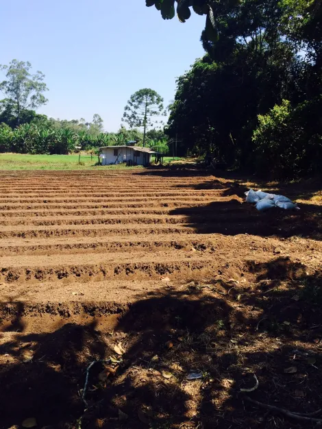Alugar Rurais / S&iacute;tio em Suzano R$ 8.000,00 - Foto 3