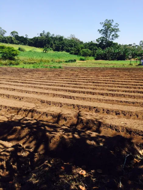 Alugar Rurais / S&iacute;tio em Suzano R$ 8.000,00 - Foto 6