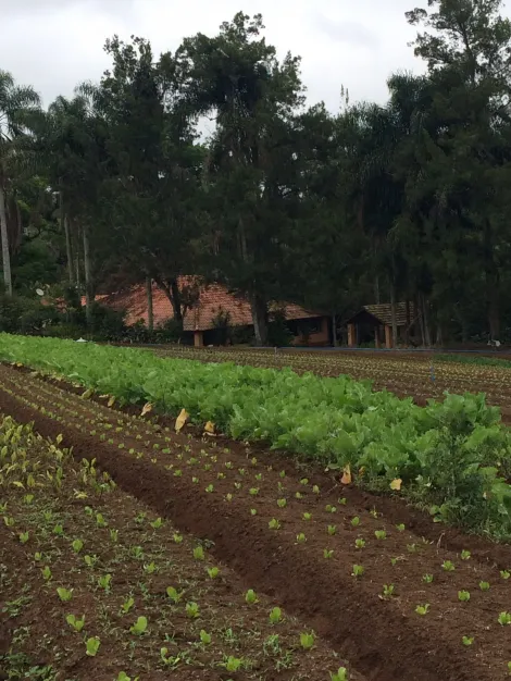 Alugar Rurais / S&iacute;tio em Suzano R$ 8.000,00 - Foto 7