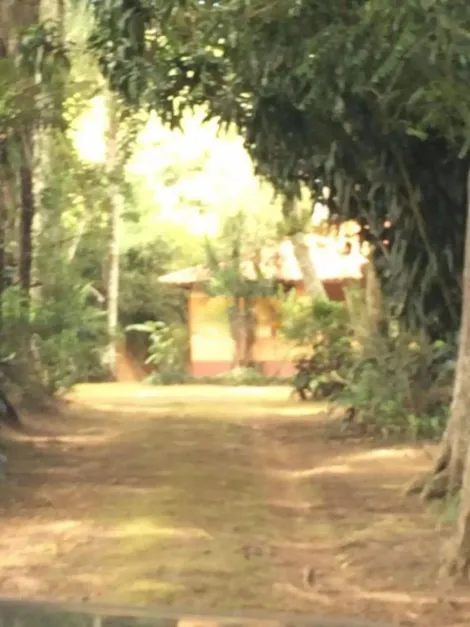 Alugar Rurais / S&iacute;tio em Suzano R$ 8.000,00 - Foto 32