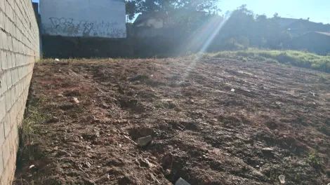 Comprar Terrenos / Terreno em Suzano R$ 450.000,00 - Foto 4