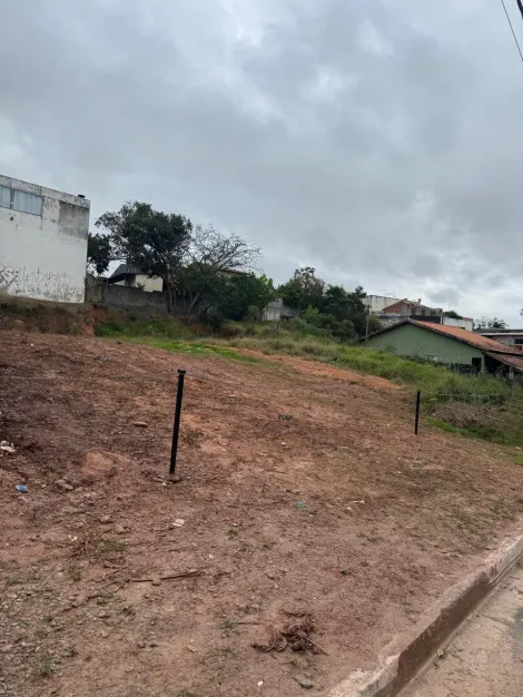 Comprar Terrenos / Terreno em Suzano R$ 450.000,00 - Foto 9