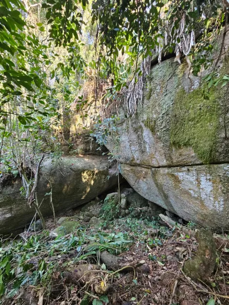 Comprar Rurais / Ch&aacute;cara em Mogi das Cruzes R$ 1.800.000,00 - Foto 2