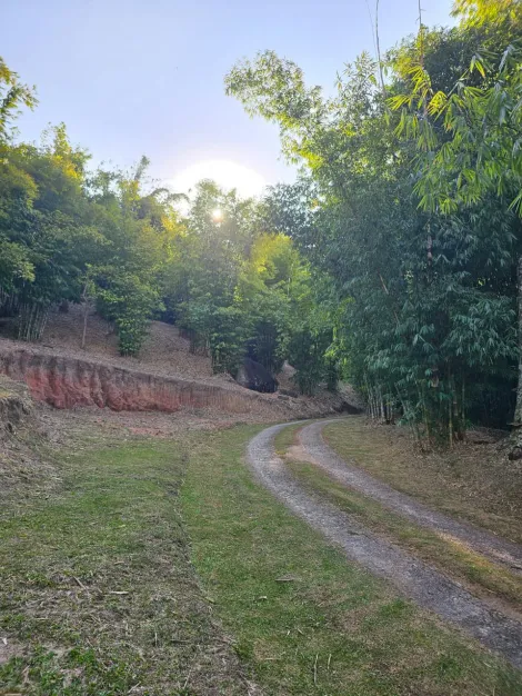 Comprar Rurais / Ch&aacute;cara em Mogi das Cruzes R$ 1.800.000,00 - Foto 5