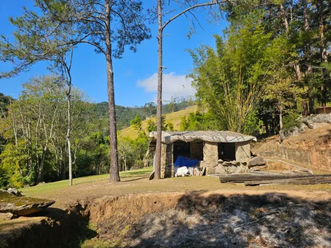 Comprar Rurais / Ch&aacute;cara em Mogi das Cruzes R$ 1.800.000,00 - Foto 19