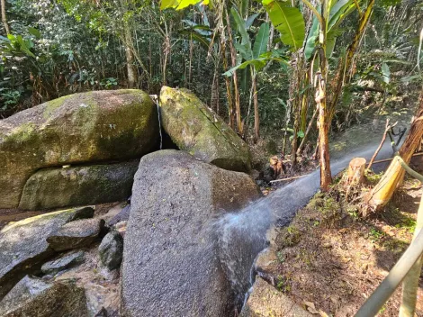 Comprar Rurais / Ch&aacute;cara em Mogi das Cruzes R$ 1.800.000,00 - Foto 20