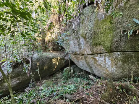 Comprar Rurais / Ch&aacute;cara em Mogi das Cruzes R$ 1.800.000,00 - Foto 22