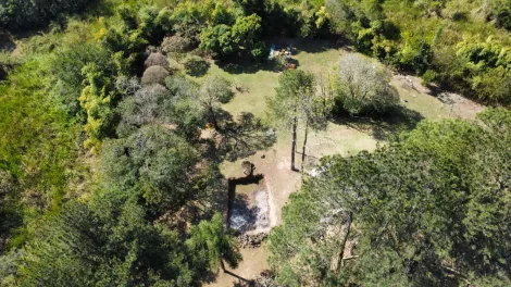 Comprar Rurais / Ch&aacute;cara em Mogi das Cruzes R$ 1.800.000,00 - Foto 27