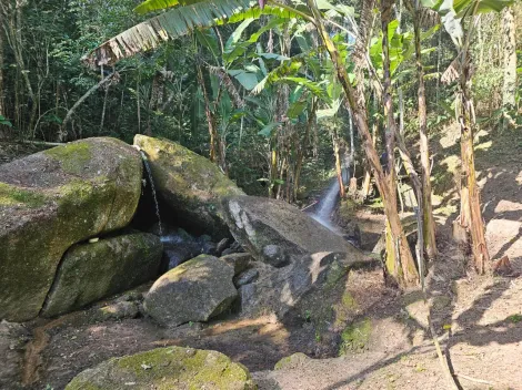 Comprar Rurais / Ch&aacute;cara em Mogi das Cruzes R$ 1.800.000,00 - Foto 28