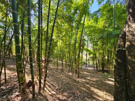Comprar Rurais / Ch&aacute;cara em Mogi das Cruzes R$ 1.800.000,00 - Foto 29