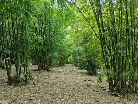 Comprar Rurais / Ch&aacute;cara em Mogi das Cruzes R$ 1.800.000,00 - Foto 32