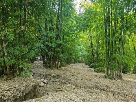 Comprar Rurais / Ch&aacute;cara em Mogi das Cruzes R$ 1.800.000,00 - Foto 34