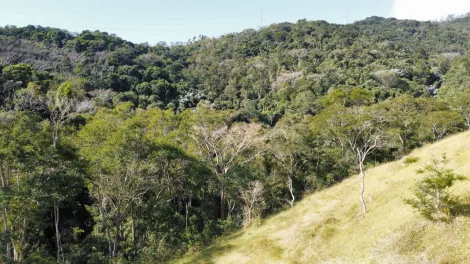 Comprar Rurais / Ch&aacute;cara em Mogi das Cruzes R$ 1.800.000,00 - Foto 38