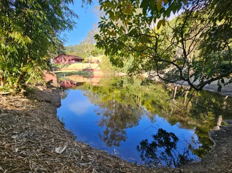 Comprar Rurais / Ch&aacute;cara em Mogi das Cruzes R$ 1.800.000,00 - Foto 39