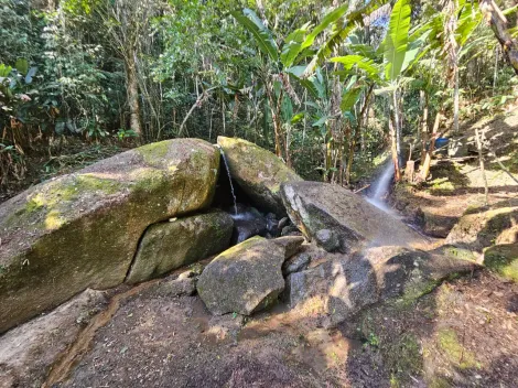 Comprar Rurais / Ch&aacute;cara em Mogi das Cruzes R$ 1.800.000,00 - Foto 41