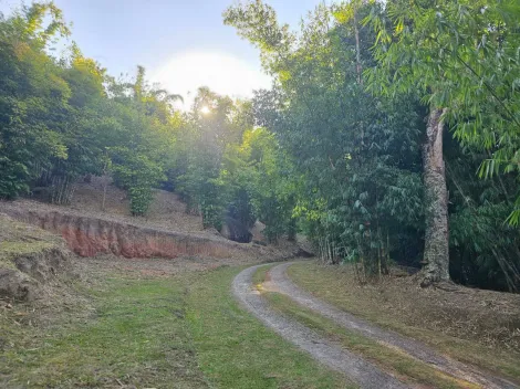 Comprar Rurais / Ch&aacute;cara em Mogi das Cruzes R$ 1.800.000,00 - Foto 42