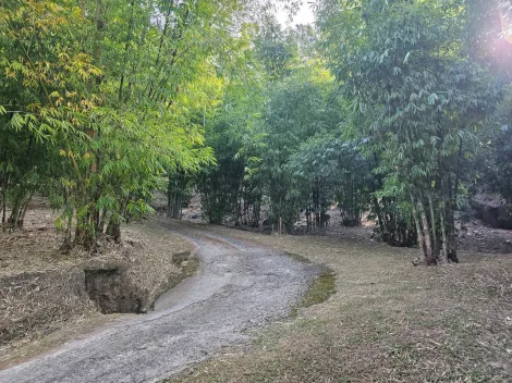 Comprar Rurais / Ch&aacute;cara em Mogi das Cruzes R$ 1.800.000,00 - Foto 44