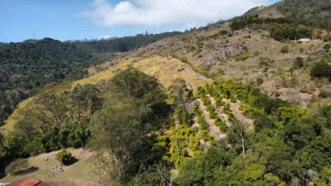 Comprar Rurais / Ch&aacute;cara em Mogi das Cruzes R$ 1.800.000,00 - Foto 46