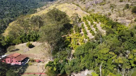 Comprar Rurais / Ch&aacute;cara em Mogi das Cruzes R$ 1.800.000,00 - Foto 47