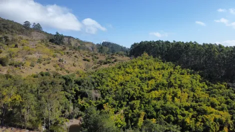 Comprar Rurais / Ch&aacute;cara em Mogi das Cruzes R$ 1.800.000,00 - Foto 48