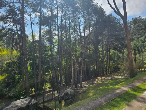 Comprar Rurais / Ch&aacute;cara em Mogi das Cruzes R$ 1.800.000,00 - Foto 51