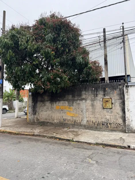Alugar Comerciais / Galp&atilde;o - Comercial em Suzano R$ 7.300,00 - Foto 16