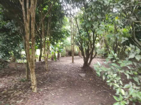 Comprar Rurais / Ch&aacute;cara em Suzano R$ 650.000,00 - Foto 4