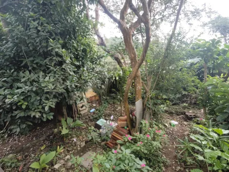 Comprar Rurais / Ch&aacute;cara em Suzano R$ 650.000,00 - Foto 5
