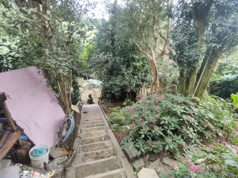 Comprar Rurais / Ch&aacute;cara em Suzano R$ 650.000,00 - Foto 6