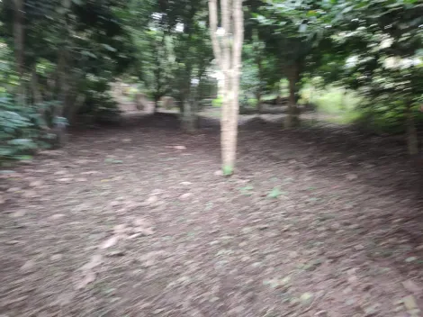Comprar Rurais / Ch&aacute;cara em Suzano R$ 650.000,00 - Foto 7