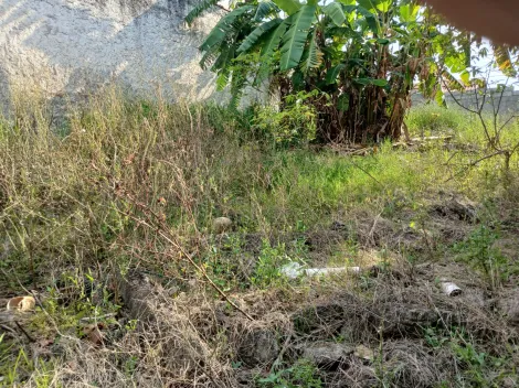 Comprar Terrenos / &aacute;rea - Urbana em Mogi das Cruzes R$ 300.000,00 - Foto 5