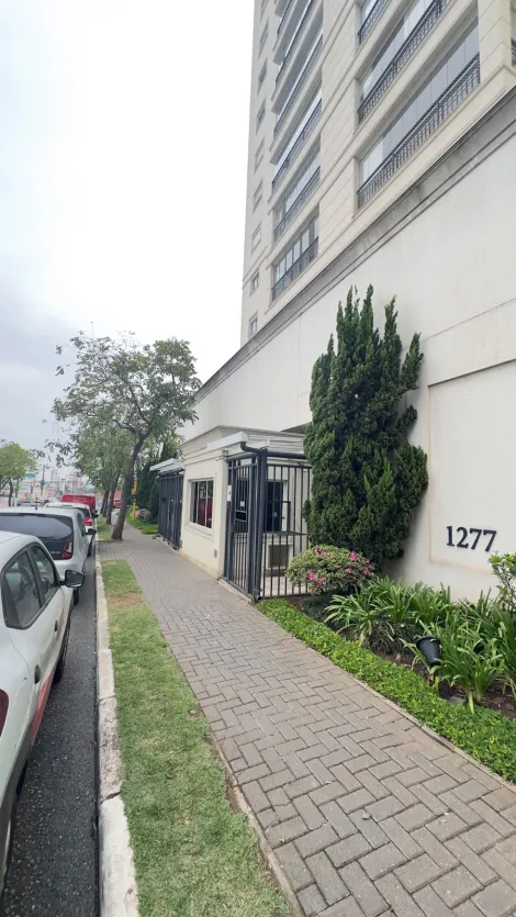 Alugar Apartamentos / Padr&atilde;o em Suzano R$ 4.500,00 - Foto 32
