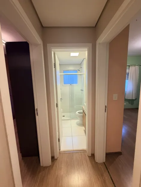 Alugar Apartamentos / Padr&atilde;o em Suzano R$ 5.000,00 - Foto 11