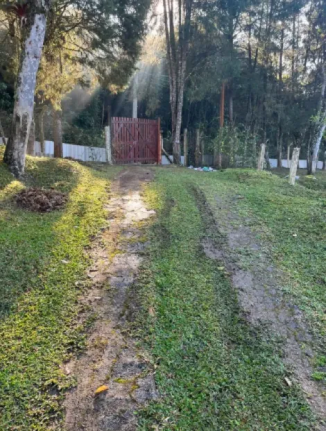 Comprar Rurais / Ch&aacute;cara em Mogi das Cruzes R$ 1.000.000,00 - Foto 16