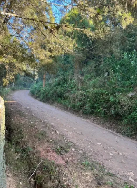 Comprar Rurais / Ch&aacute;cara em Mogi das Cruzes R$ 1.000.000,00 - Foto 17