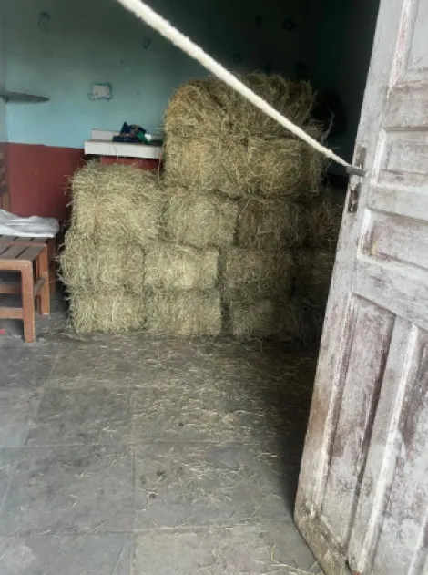 Comprar Rurais / Ch&aacute;cara em Mogi das Cruzes R$ 1.000.000,00 - Foto 18