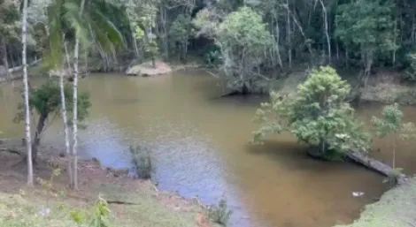 Comprar Rurais / Ch&aacute;cara em Mogi das Cruzes R$ 1.000.000,00 - Foto 7