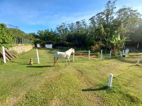 Comprar Rurais / Ch&aacute;cara em Suzano R$ 1.200.000,00 - Foto 17