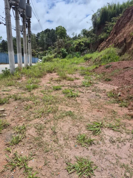Comprar Terrenos / Terreno em Suzano R$ 120.000,00 - Foto 15