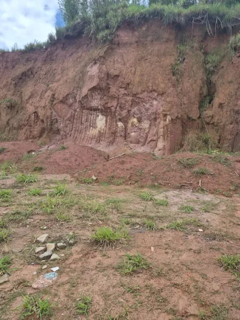 Comprar Terrenos / Terreno em Suzano R$ 120.000,00 - Foto 10